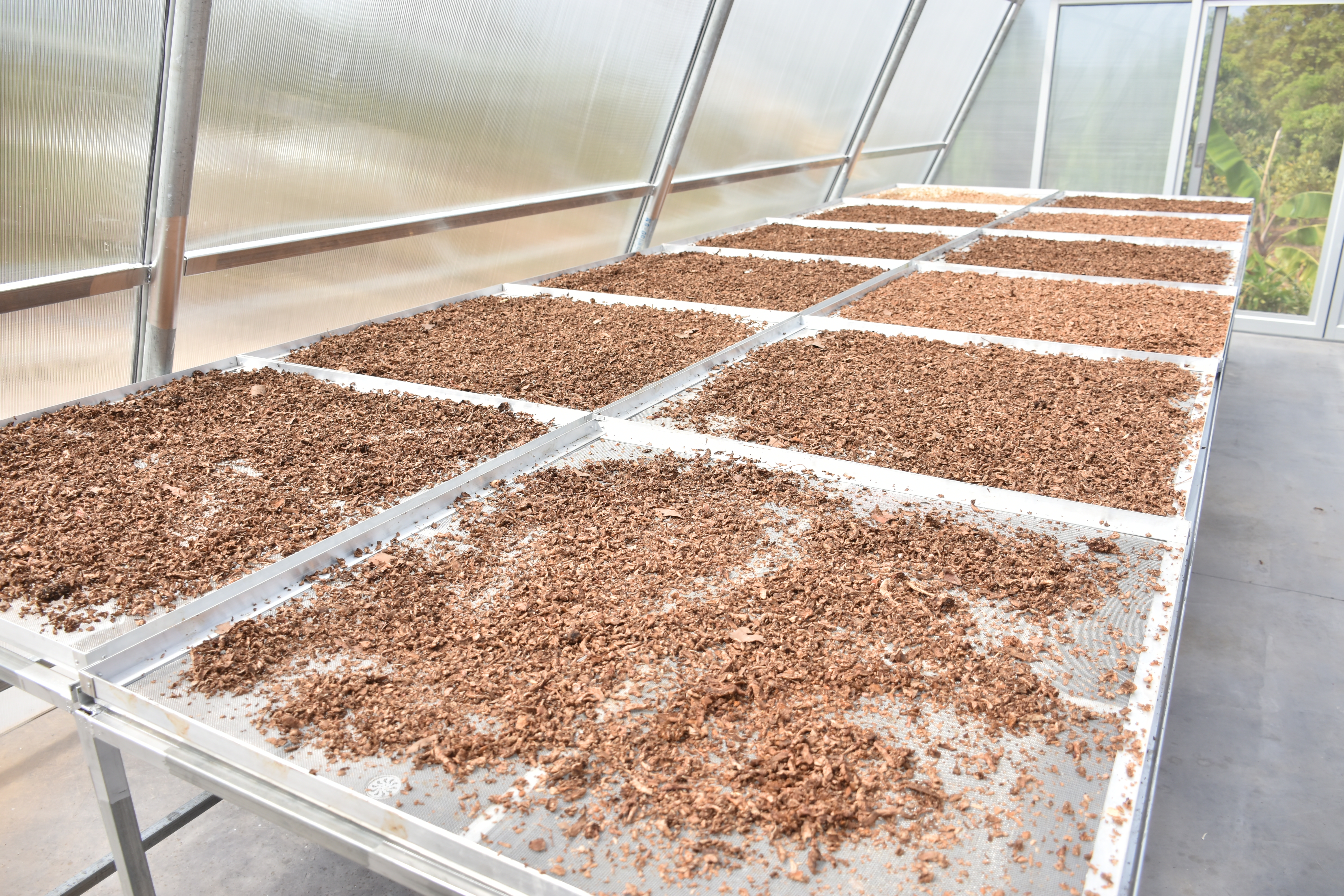 title - ผู้ตรวจราชการกระทรวงเกษตรและสหกรณ์ เขตตรวจราชการที่ 14 (นางสุวรรณี ศรีสุวรรณ์) และคณะผู้ตรวจราชการกรม ลงพื้นที่ตรวจติดตามนโยบายยกระดับสินค้าเกษตรและบริการมูลค่าสูง การพัฒนาสินค้าเกษตรมูลค่าสูง โครงการส่งเสริมและพัฒนาสินค้าเกษตรชีวภาพ (สมุนไพร) ณ แปลงใหญ่สมุนไพร หมู่ 10 บ้านห้วยร่องคำ ตำบลกุดปลาดุก อำเภอเมืองอำนาจเจริญ จังหวัดอำนาจเจริญ